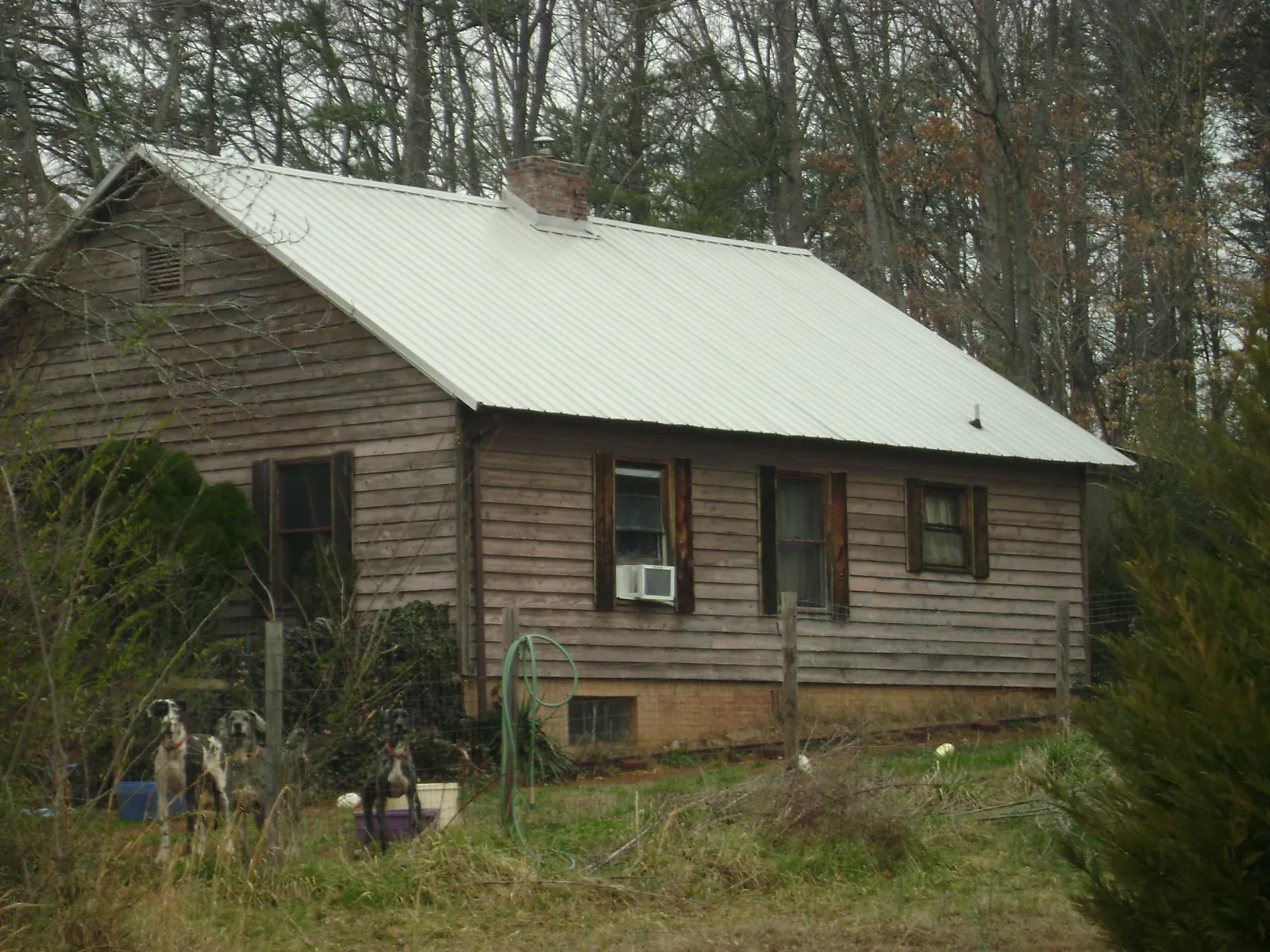 White metal roof on an old wood sided farmhouse, from a Asphalt Shingle Roof Repair job in Durango